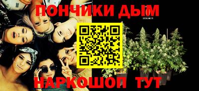 прущие грибы Бердск