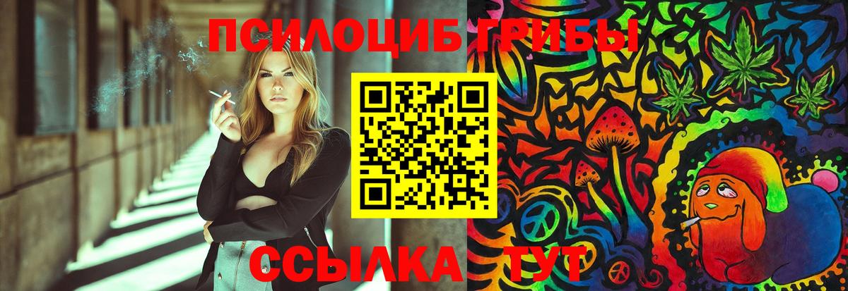Клин  Псилоцибиновые грибы Psilocybe  Вход с VPN  Галлюциногенные грибы ЛСД 
